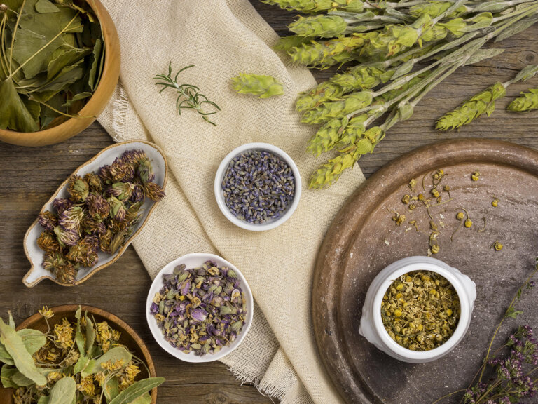 Phytotherapie: Die faszinierende Welt der Naturheilkunde